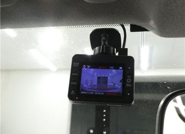 TOYOTA HILUX SURF SSR-X20TH Anniversary Edition 2004 full