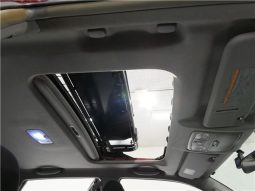 TOYOTA HILUX SURF SSR-X20TH Anniversary Edition 2004 full