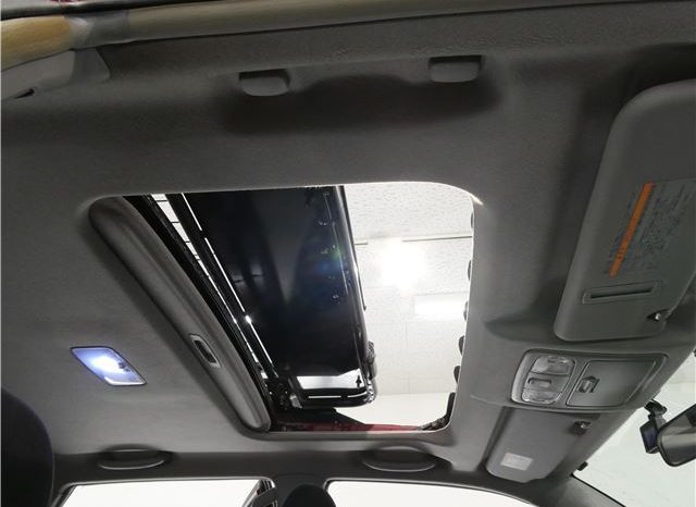 TOYOTA HILUX SURF SSR-X20TH Anniversary Edition 2004 full