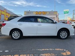 Toyota Allion A15 G Package 2010 full