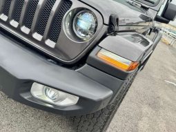 Chrysler Jeep Wrangler Unlimited Sahara 2.0L 2020 full