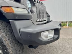 Chrysler Jeep Wrangler Unlimited Sahara 2.0L 2020 full