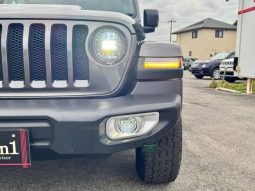 Chrysler Jeep Wrangler Unlimited Sahara 2.0L 2020 full