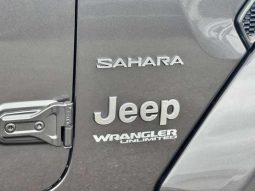 Chrysler Jeep Wrangler Unlimited Sahara 2.0L 2020 full