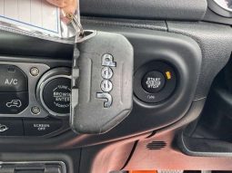 Chrysler Jeep Wrangler Unlimited Sahara 2.0L 2020 full