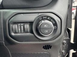 Chrysler Jeep Wrangler Unlimited Sahara 2.0L 2020 full