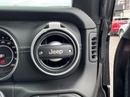 Chrysler Jeep Wrangler Unlimited Sahara 2.0L 2020 full