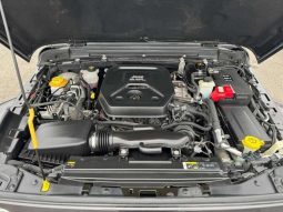 Chrysler Jeep Wrangler Unlimited Sahara 2.0L 2020 full