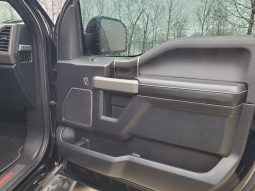 Ford F-150 Raptor 2017 full