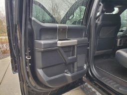 Ford F-150 Raptor 2017 full