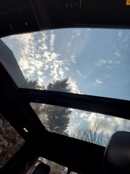 Ford F-150 Raptor 2017 full