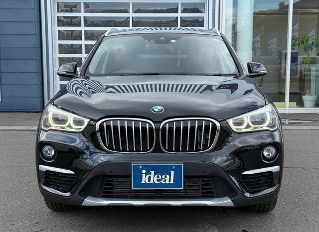 BMW X1  X Drive 18D X Line 2017 full