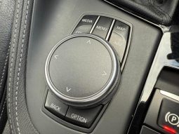 BMW X1  X Drive 18D X Line 2017 full