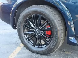 INFINITI QX80 Luxe 2020 full