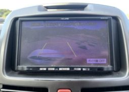 Toyota Rush 2010 full