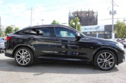 BMW X4  Xdrive30i M Suho 2018 full