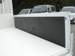 Toyota Dyna  2 ton low floor double cab 2009 full