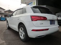 Audi Q5 45TFSI Sport 2019 full