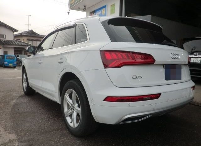 Audi Q5 45TFSI Sport 2019 full