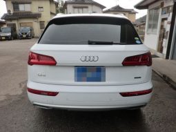 Audi Q5 45TFSI Sport 2019 full
