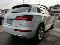 Audi Q5 45TFSI Sport 2019 full