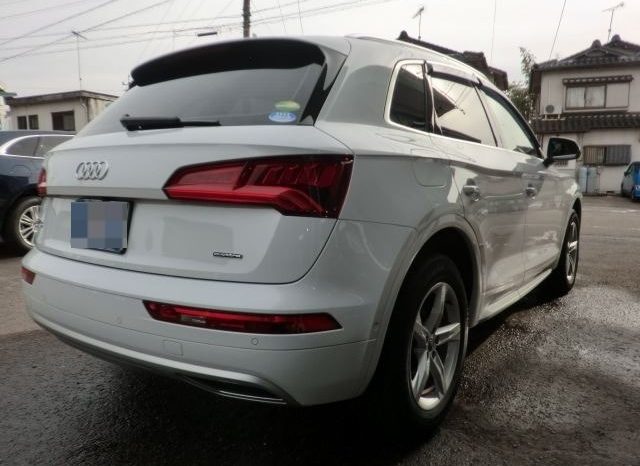 Audi Q5 45TFSI Sport 2019 full