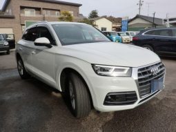 Audi Q5 45TFSI Sport 2019 full