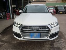 Audi Q5 45TFSI Sport 2019 full