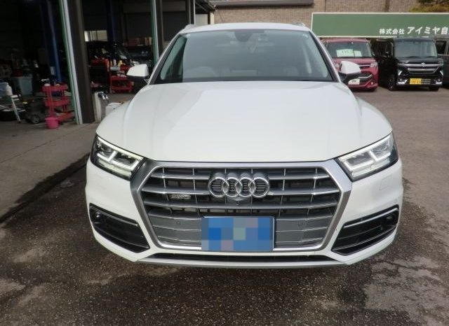 Audi Q5 45TFSI Sport 2019 full