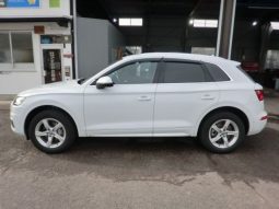 Audi Q5 45TFSI Sport 2019 full