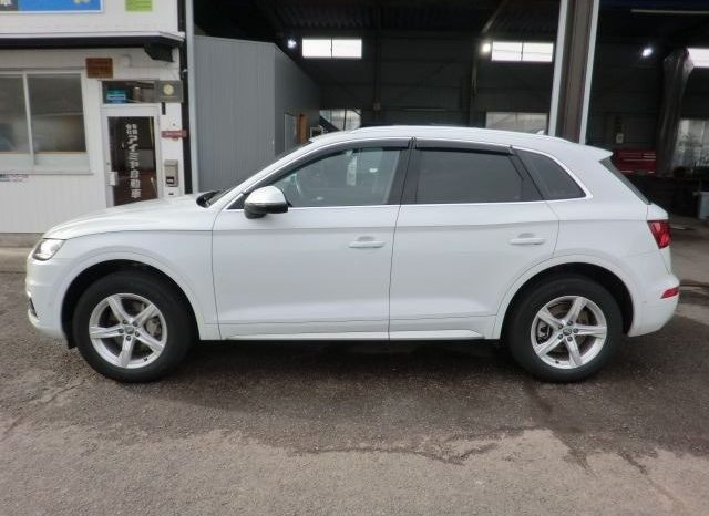 Audi Q5 45TFSI Sport 2019 full