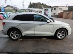 Audi Q5 45TFSI Sport 2019 full