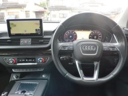 Audi Q5 45TFSI Sport 2019 full