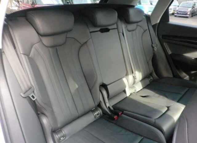 Audi Q5 45TFSI Sport 2019 full