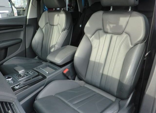 Audi Q5 45TFSI Sport 2019 full