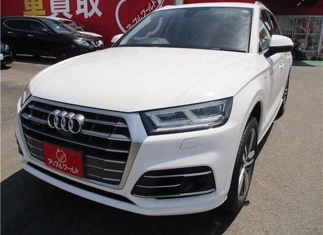 Audi Q5 2.0 TFSI 2017 full