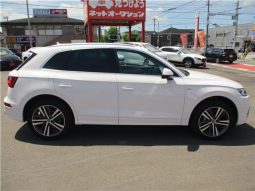 Audi Q5 2.0 TFSI 2017 full
