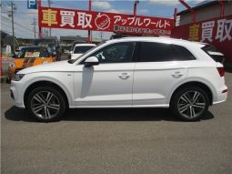 Audi Q5 2.0 TFSI 2017 full