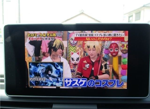 Audi Q5 2.0 TFSI 2017 full