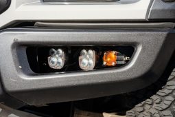 Ford F-150 Raptor 2017 full