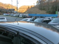 TOYOTA SIENTA X LIMITED 2010 full