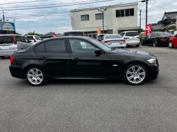 BMW 3 Series 320i M Sport Package full