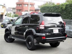 Toyota Land Cruiser Prado TX Limited 2008 full