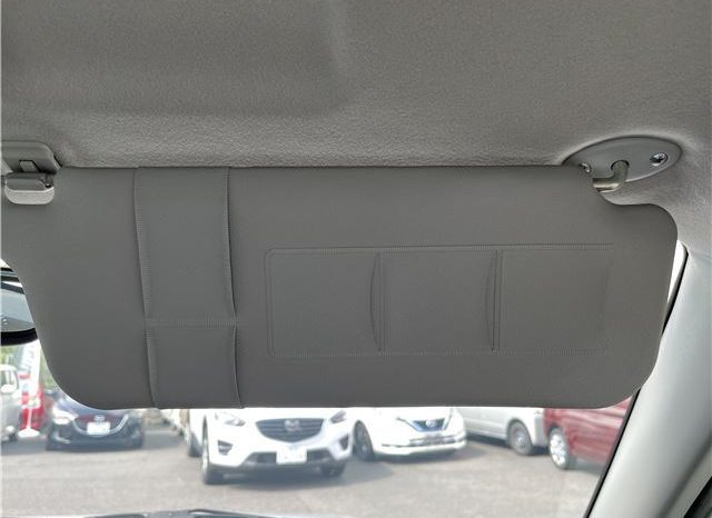 TOYOTA PROBOX GL 2019 full