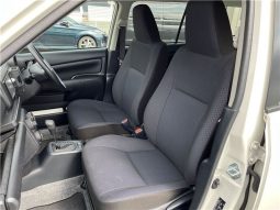 TOYOTA PROBOX GL 2019 full