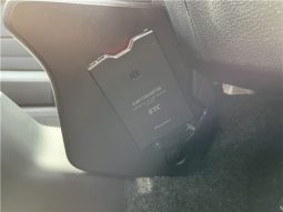 TOYOTA PROBOX GL 2019 full