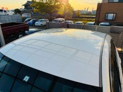 TOYOTA MARK X 250G F Smart Edition 2009 full