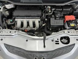 Honda Fit G Smart Selection 2010 full