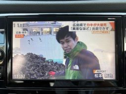 Nissan X-Trail 2.0 20X 2017 full