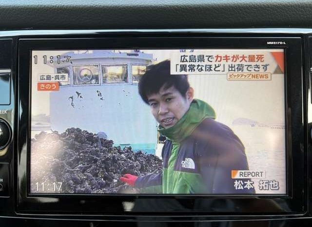 Nissan X-Trail 2.0 20X 2017 full